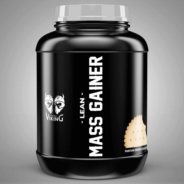 Lean mass gainer Twins Viking - prise de masse sèche Lean mass gainer Twins Viking - prise de masse sèche