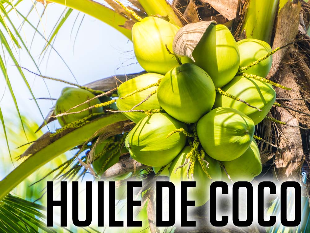HUILE DE COCO ET SES BIENFAITS DANS LA NUTRITION 